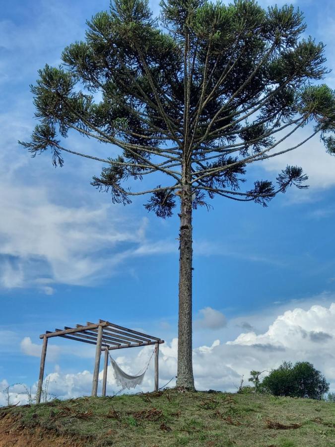 Celeiro Guarapuava, 4 Quartos, Paz E Tranquilidade Ngoại thất bức ảnh